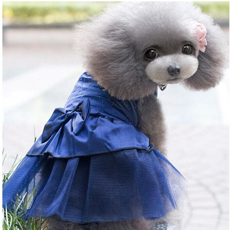 Pet Gala Dress Collection