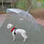 Raincoat With Dog Leash
