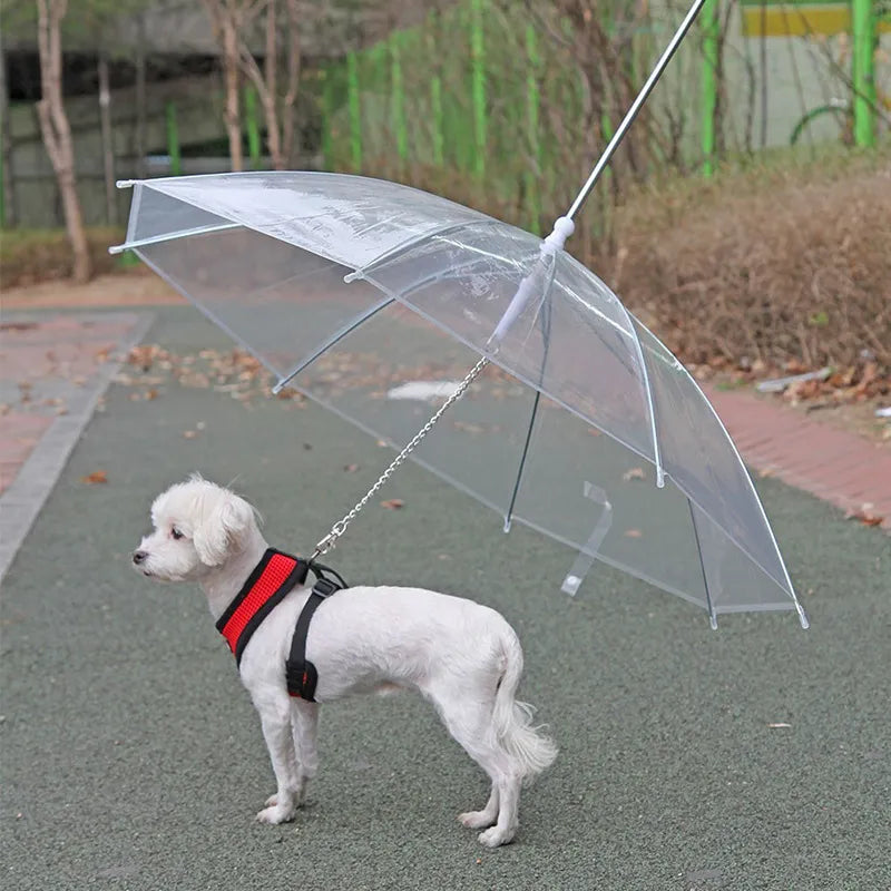 Raincoat With Dog Leash