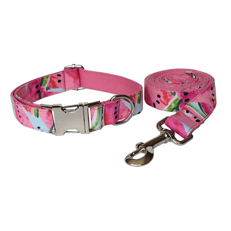 Watermelon Dog Collar and Leash Pet Supplies