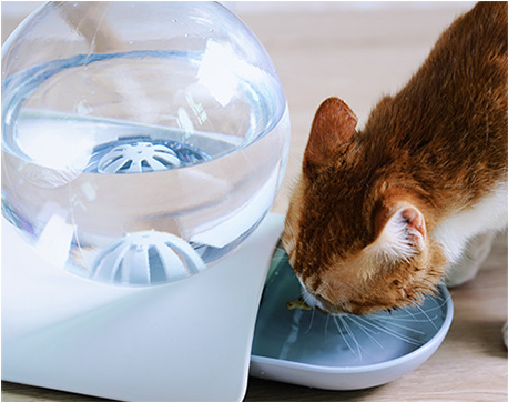HydroPaws Automatic Waterer