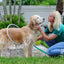 Dog Shower Bathing Ring with Circular Water Gun