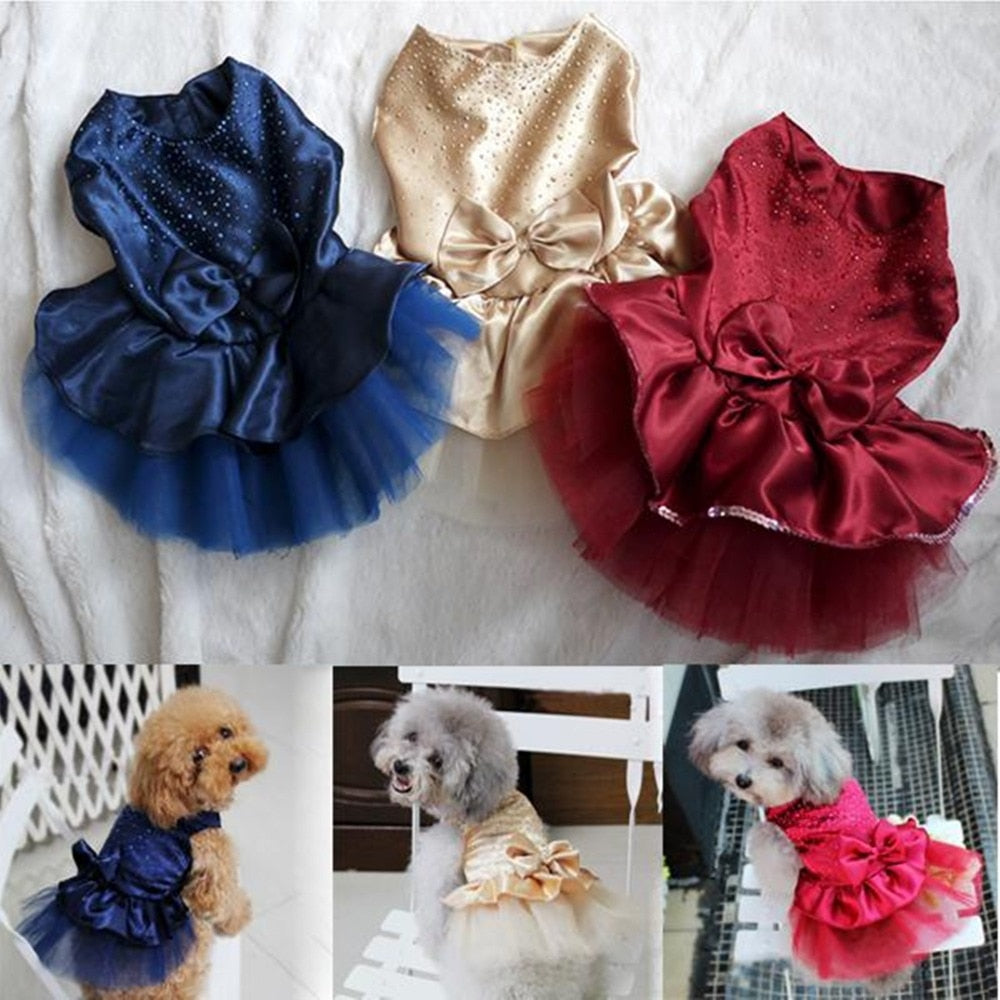 Pet Gala Dress Collection