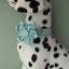 Lake Green Flannel Golden Dog Collar for Pets