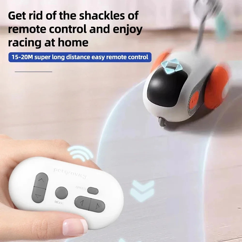 AutoPlay Pet Chase Car