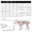 TPU Dog Raincoat for Small Breeds - In Stock