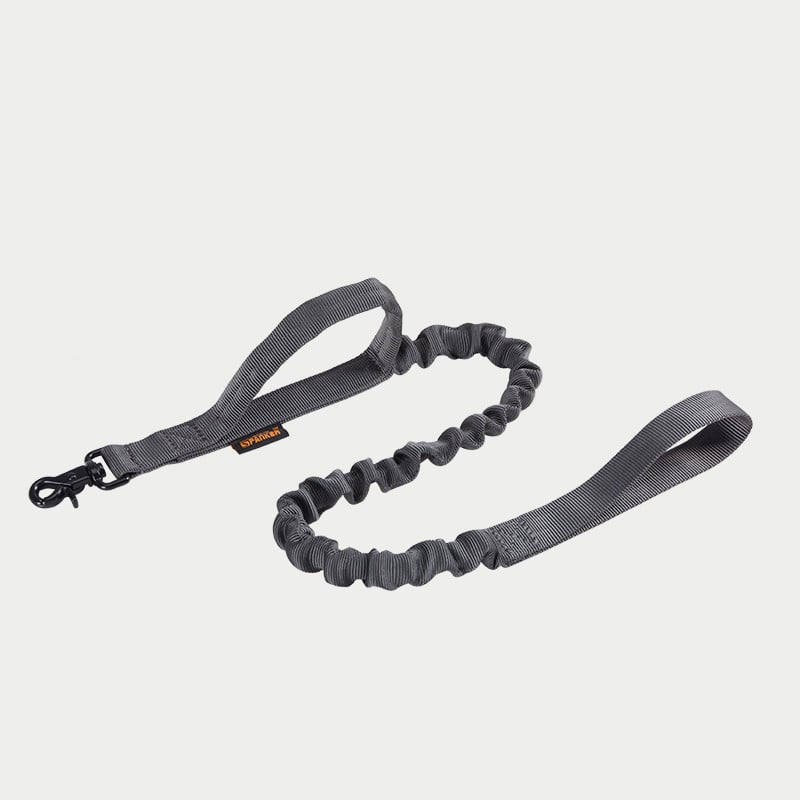 Leash for Large Dogs: German Shepherd, Golden Retriever