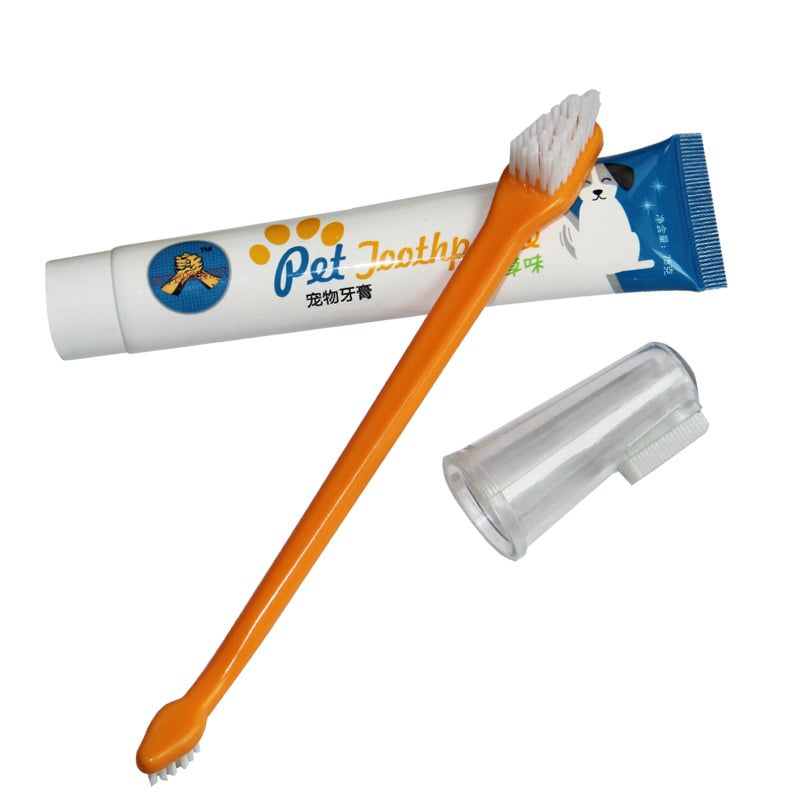 Dual-Flavor Pet Dental Kit