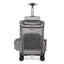 Stylish Travel Pet Carrier