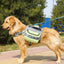 Adventure Pet Gear Backpack