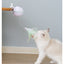 Pet Toy Ball with USB Electric Teaser Wand (Replaceable)