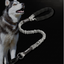 Elastic Dog Traction Rope for Pet Supplies