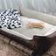 Wholesale Dog Bed, Removable Washable Pet Supplies