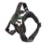 Medium and Large Dog Collar for Pet Supplies