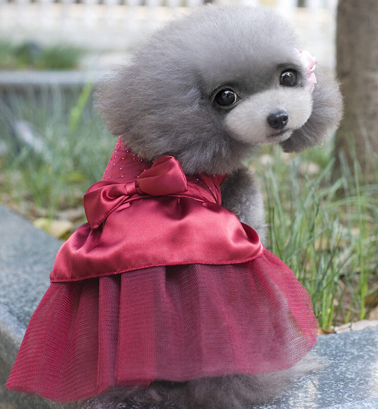Pet Gala Dress Collection