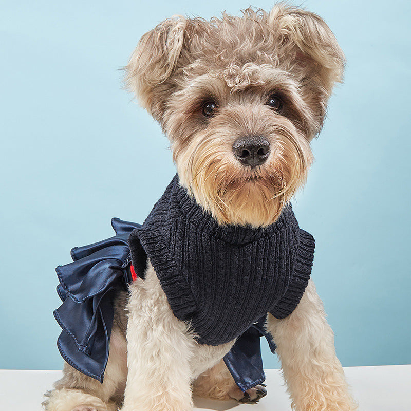 Autumn Winter Pet Supplies Set with Skirt Sweater