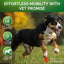 Canine Hip & Joint Health Dual Pack with Glucosamine 240 Chews