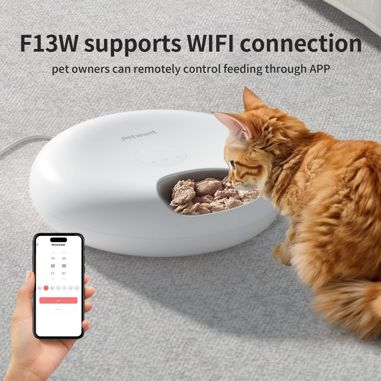 Smart 6-Meal Pet Feeder with WiFi & Ice Packs