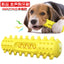 Amazon Pet Chew Toothbrush and Dental Ball Toy