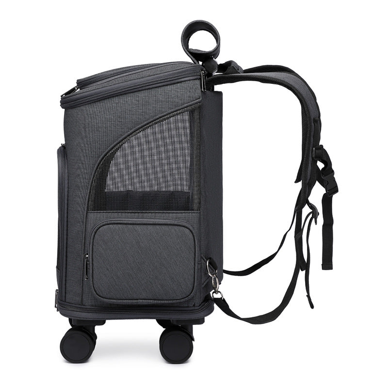 Stylish Travel Pet Carrier