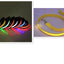 LED Dog Leash with Fluorescent Dog Collar