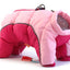 Dog Winter Clothes