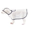 TPU Dog Raincoat for Small Breeds - In Stock