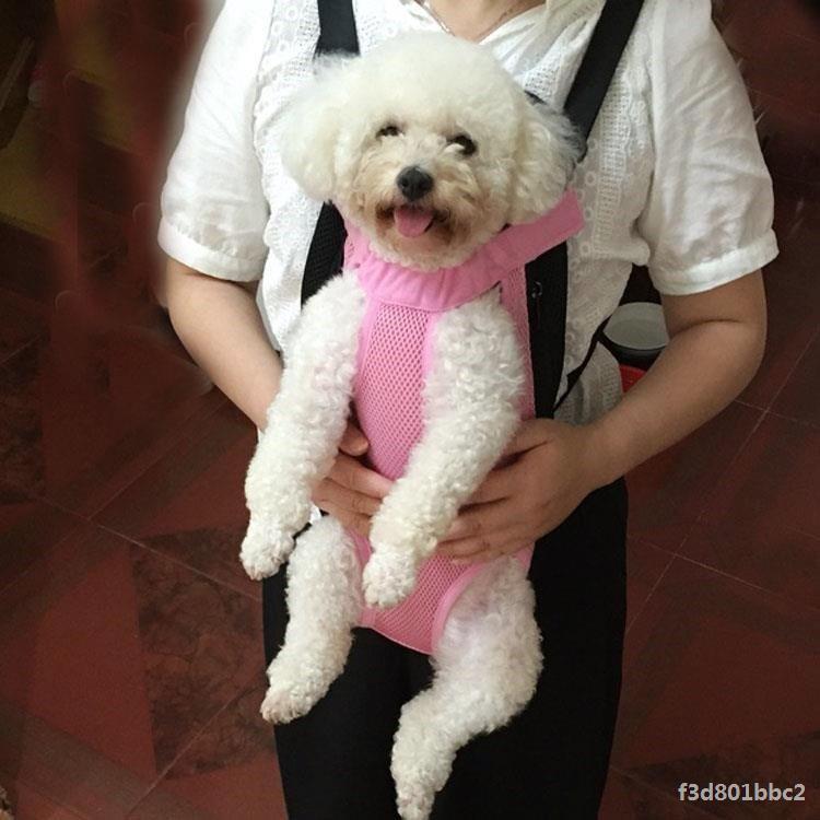Compact Pet Travel Backpack
