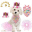 Anelekor Pink Girl Dog Birthday Hat and Bandanas Set Cat Birthday Outfit Pet Crown Hat with 0-9 Figures Polk dot Puppy Tutu Skirt Birthday Party Supplies for Small Medium Dog Cat (A) (Pink)