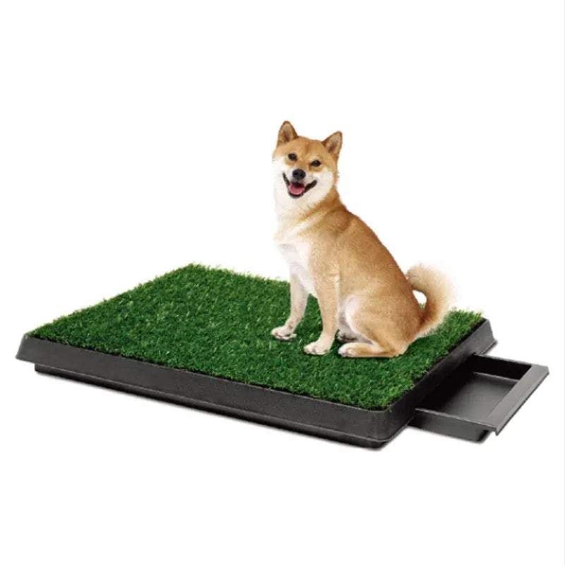 EcoClean Pet Potty Station