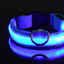 Glowing Adjustable Pet Collar