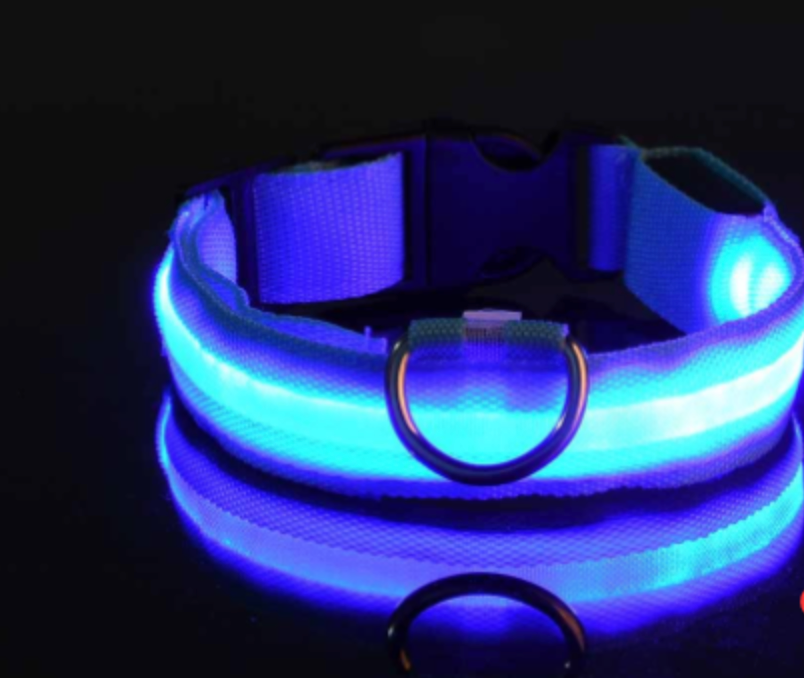 Glowing Adjustable Pet Collar