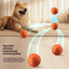 Luminous Bounce Ball - Interactive Dog Toy