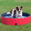 Pet Supplies, Foldable Swimming Pool