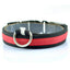 LED Dog Collar with Light Strip for Illumination