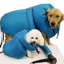 Pet Drying Cube: Dryer & Bag