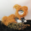 Funny Lion Mane Hat for Cats and Kittens