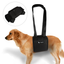 Senior Dog Mobility Harness