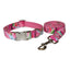 Watermelon Dog Collar and Leash Pet Supplies