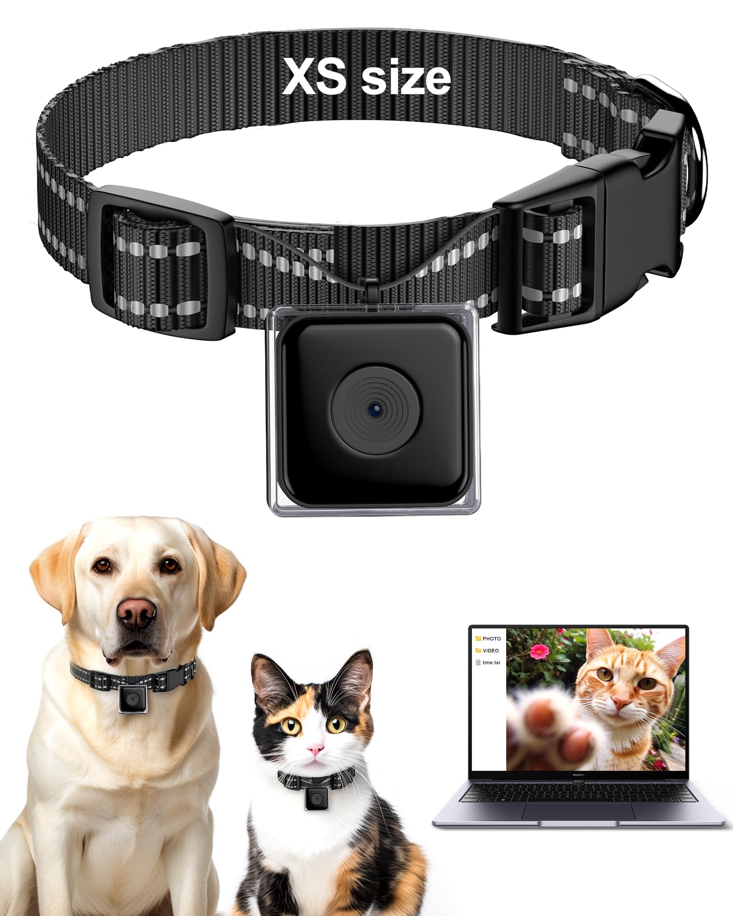 PetView Mini Camera Collar