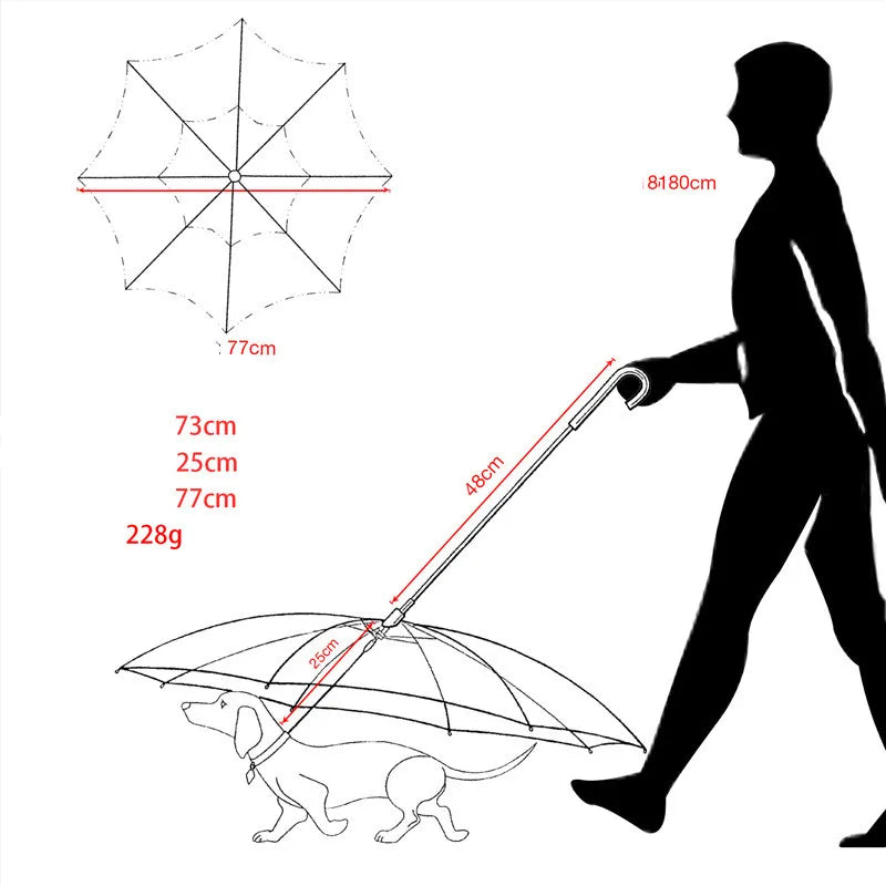 Raincoat With Dog Leash