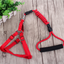 Pet Leash Set for Small Dogs and Cats with Collar