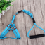 Pet Leash Set for Small Dogs and Cats with Collar