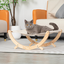 Cat Playground Rocker