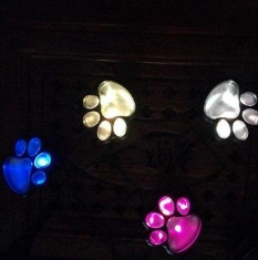 Eco-Friendly Paw Lights