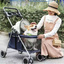 Portable Pet Stroller