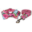 Watermelon Dog Collar and Leash Pet Supplies