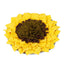 Sunflower Pet Snuffle Mat for Slow Feeding and Training