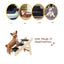 3-Level Wooden Pet Steps and Ramp