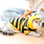 Dog Bee Halloween Costume